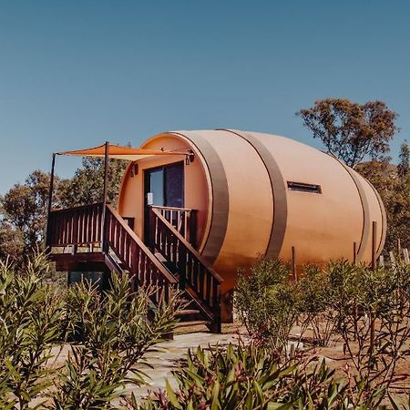 Finca El Mirador Hotell Valle de Guadalupe Eksteriør bilde