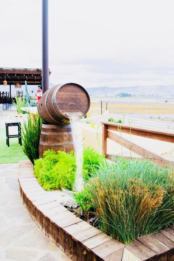 Finca El Mirador Valle de Guadalupe Eksteriør bilde