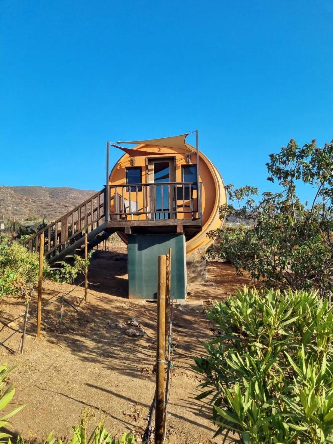 Finca El Mirador Hotell Valle de Guadalupe Eksteriør bilde