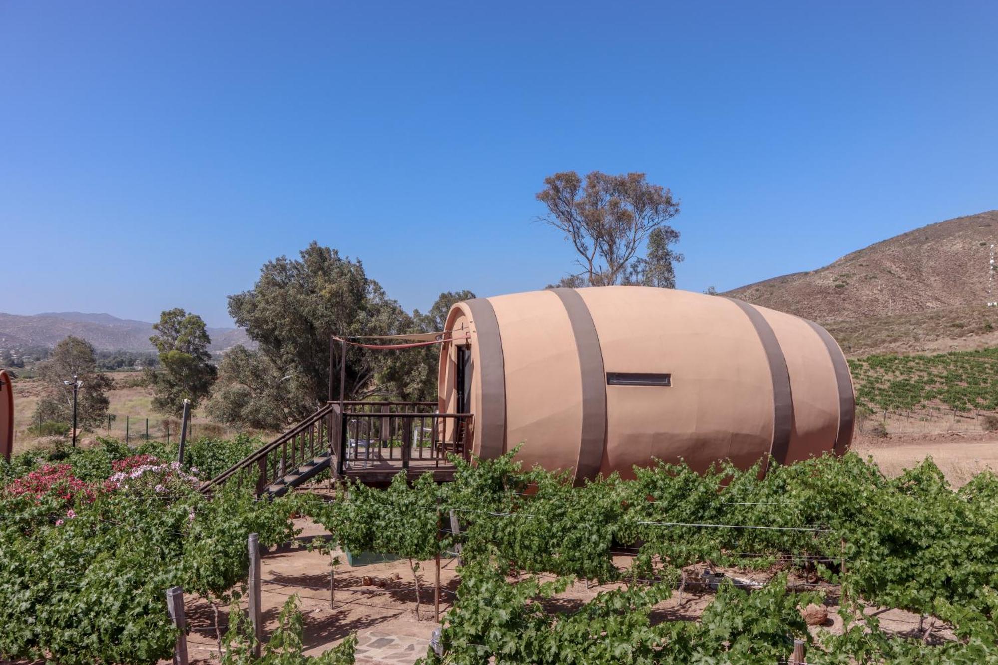 Finca El Mirador Valle de Guadalupe Eksteriør bilde