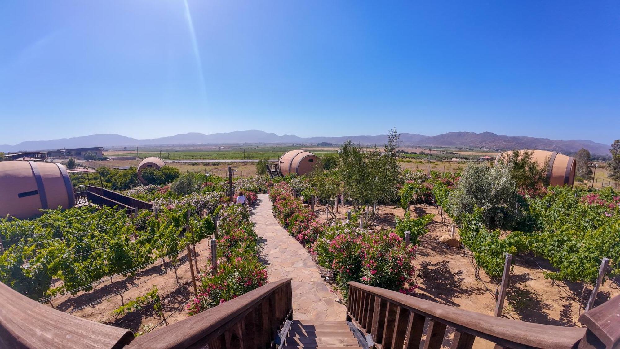 Finca El Mirador Valle de Guadalupe Eksteriør bilde