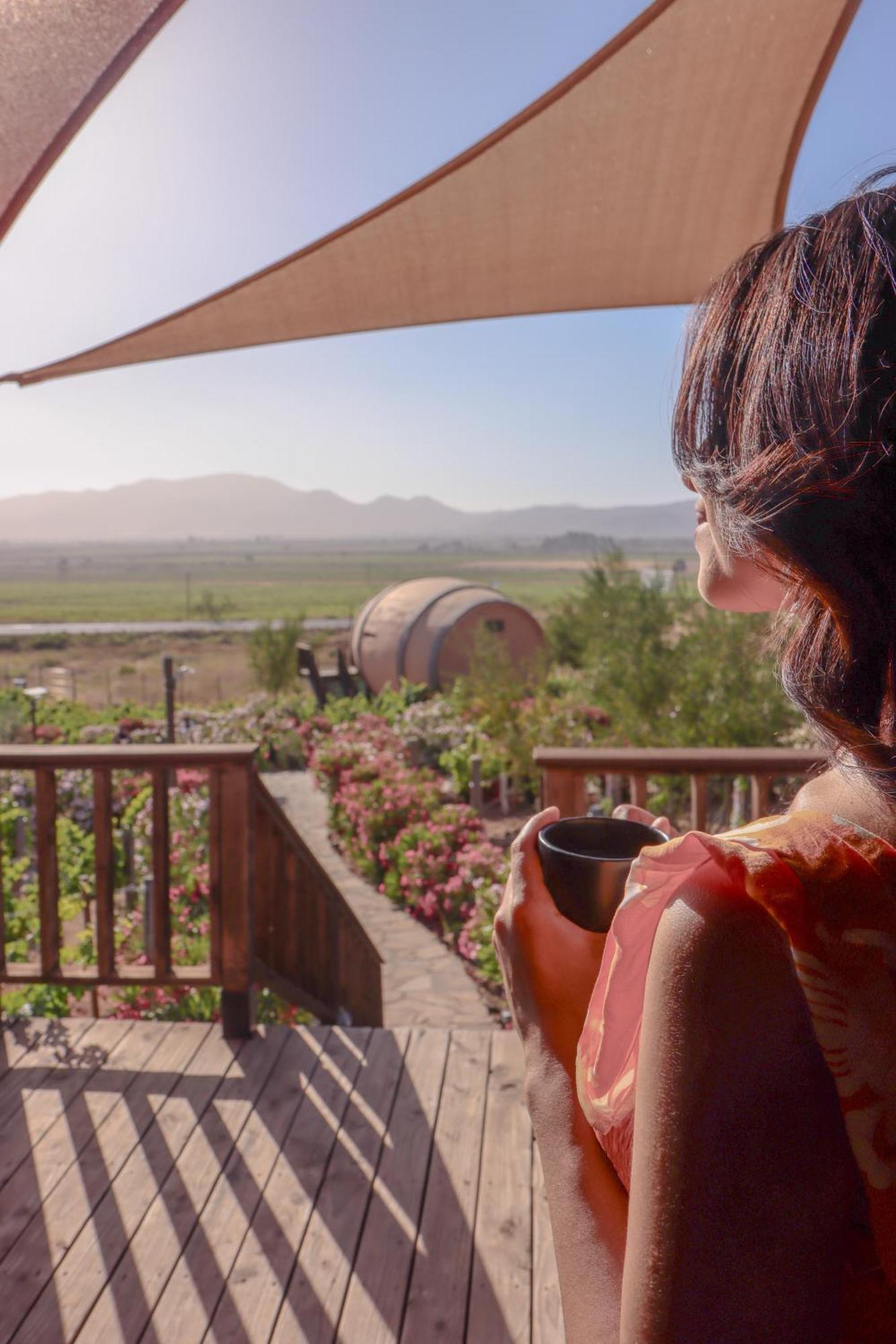 Finca El Mirador Valle de Guadalupe Eksteriør bilde